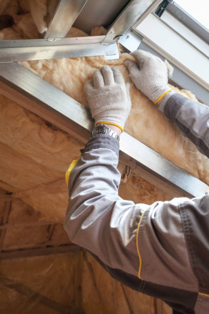 Best Insulation Maintenance and Repair in Marshall, MI