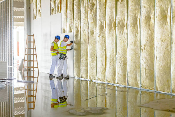 Best Commercial Insulation in Marshall, MI